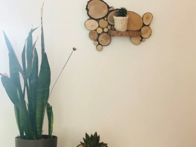 Support mural en rondins de bois