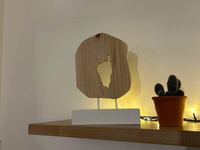 Rondin de bois avec la Corse défoncé