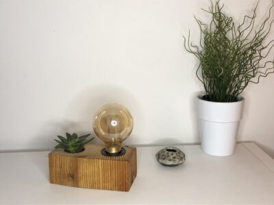 Lampe en bois avec plante
